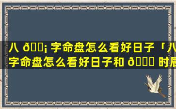 八 🐡 字命盘怎么看好日子「八字命盘怎么看好日子和 🐞 时辰」